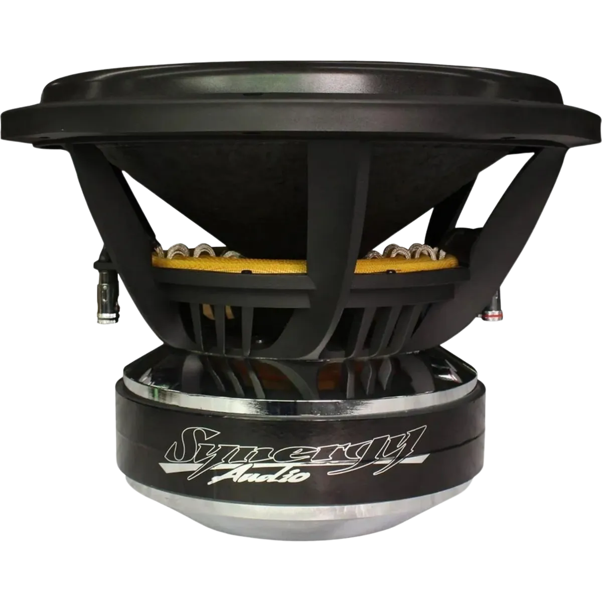 Synergy Audio WFO Series 12" Subwoofer